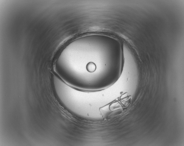 X0000064731314200602241703