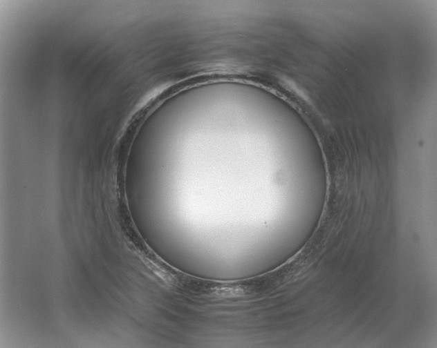 X0000064731315200602241703