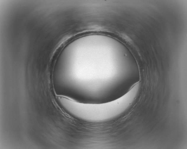 X0000064731318200602241703