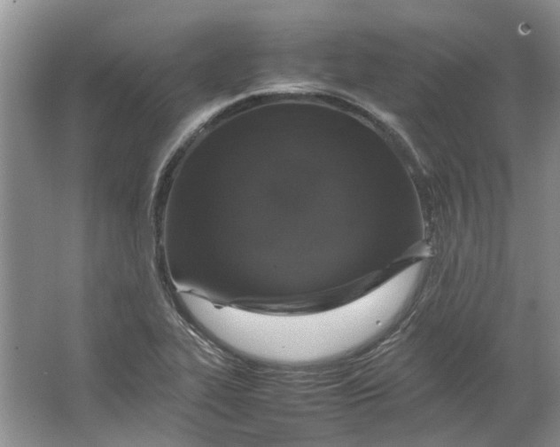 X0000064731319200602241703