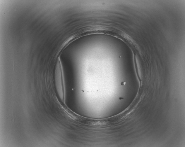 X0000064731321200602241703