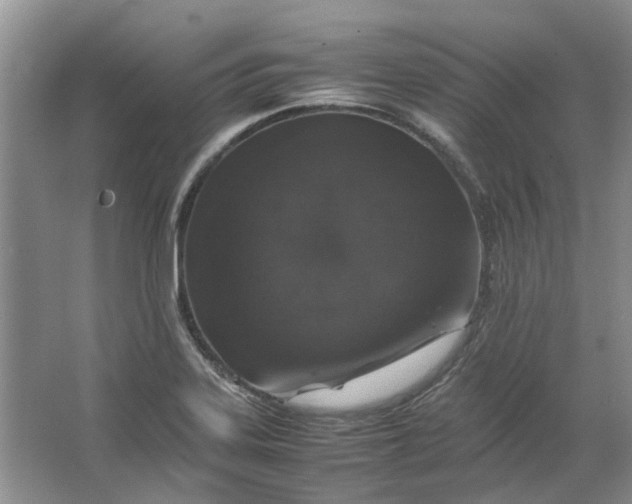 X0000064731323200602241703