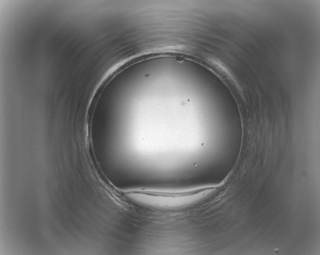 X0000064731324200602241703