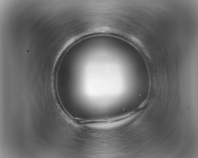 X0000064731326200602241703