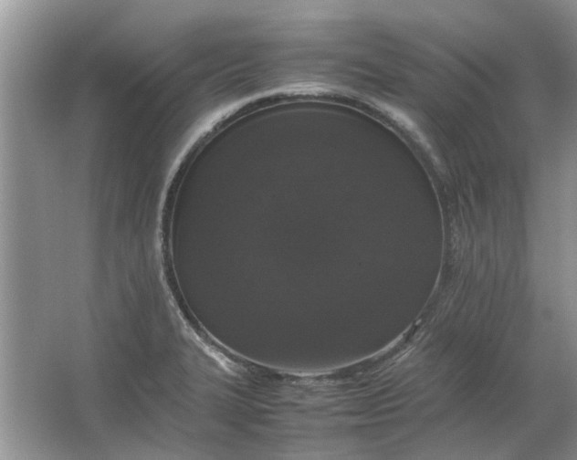 X0000064731327200602241703