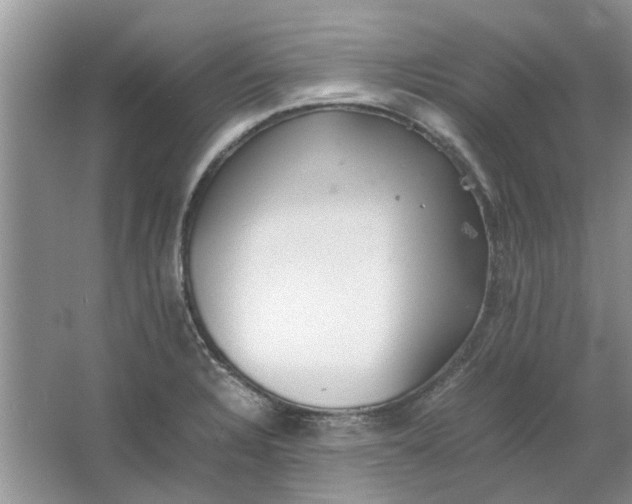 X0000064731328200602241703