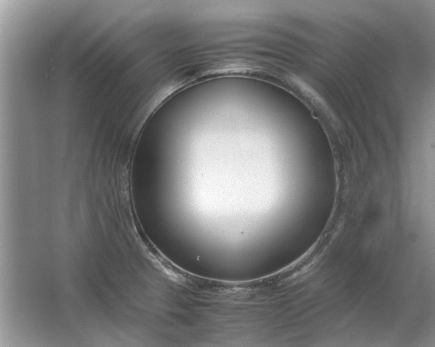 X0000064731329200602241703