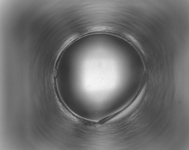 X0000064731330200602241703