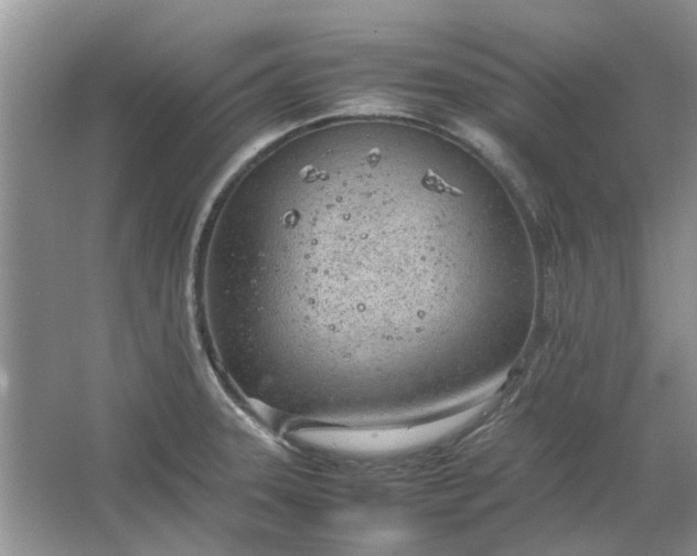 X0000064731331200602241703