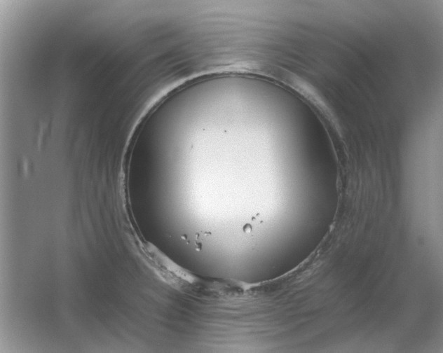 X0000064731332200602241703