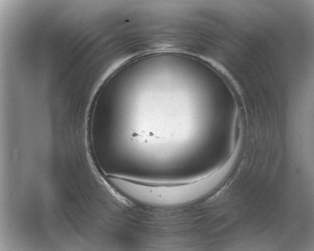 X0000064731333200602241703