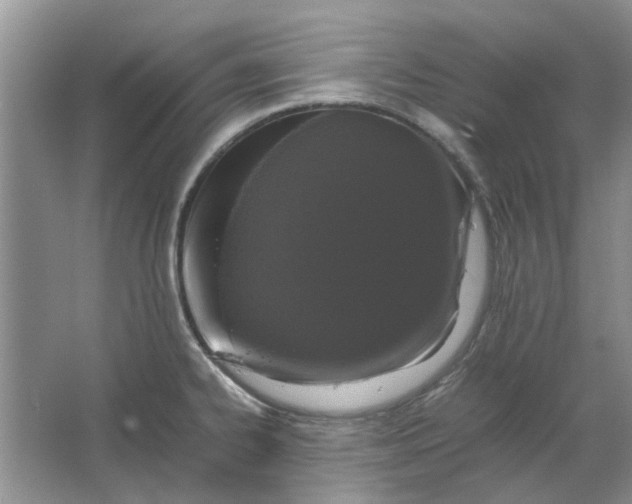 X0000064731334200602241703