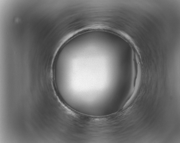 X0000064731335200602241703