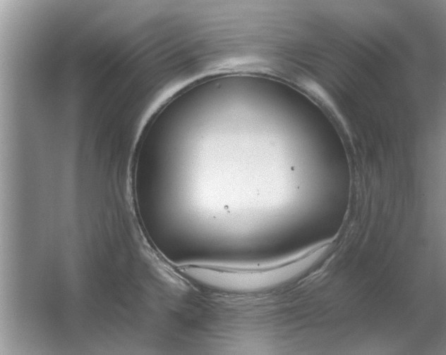 X0000064731336200602241703