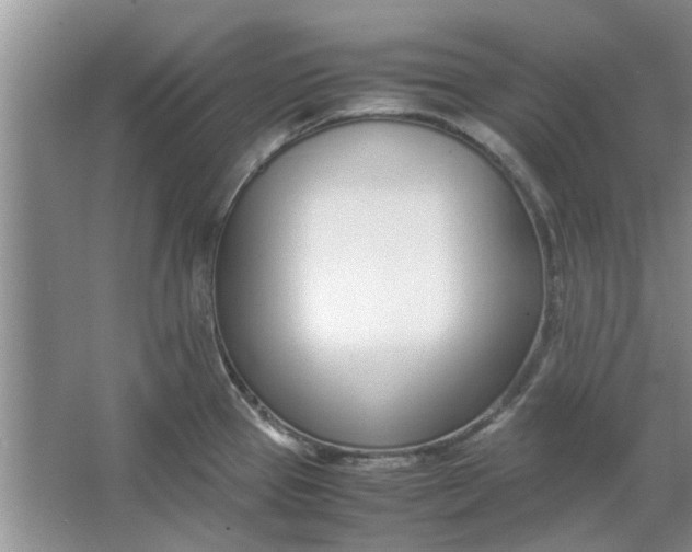 X0000064731337200602241703