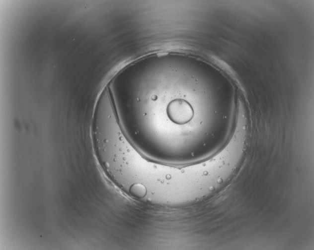 X0000064731338200602241703