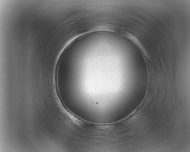 X0000064731339200602241703