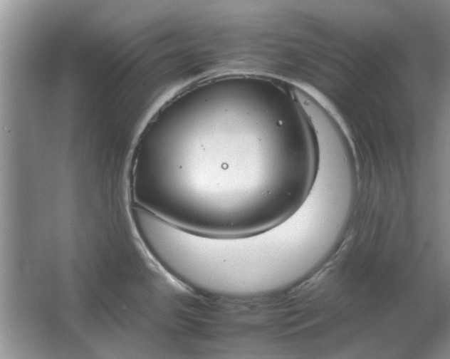 X0000064731341200602241703