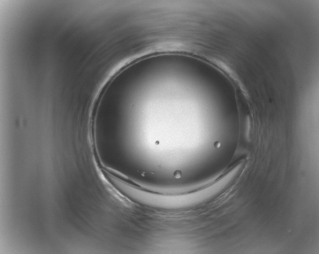 X0000064731342200602241703