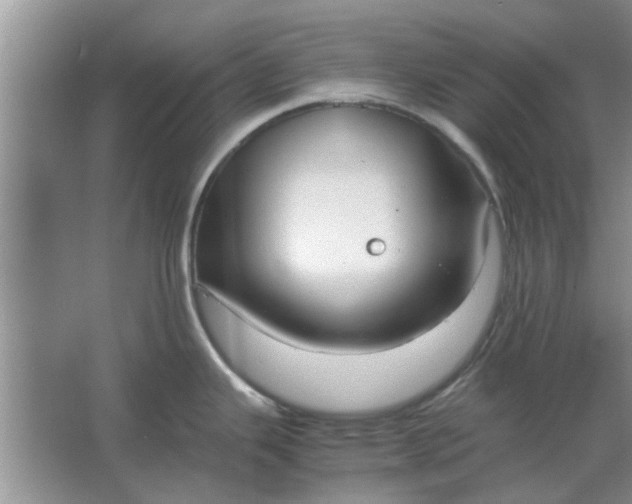 X0000064731343200602241703