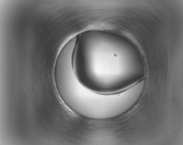 X0000064731344200602241703