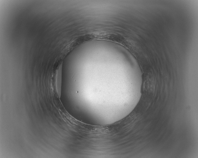 X0000064731346200602241702