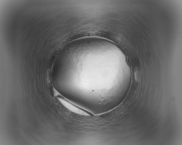 X0000064731347200602241702