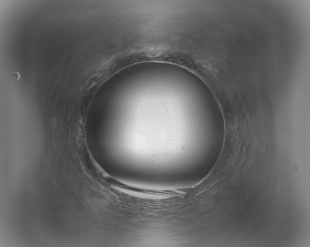 X0000064731349200602241702