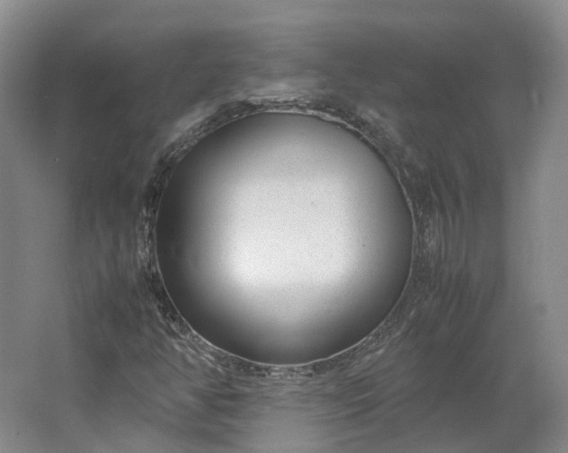 X0000064731350200602241702