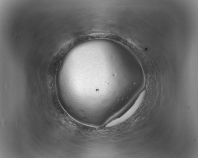 X0000064731351200602241702