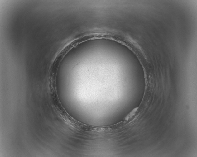 X0000064731352200602241702