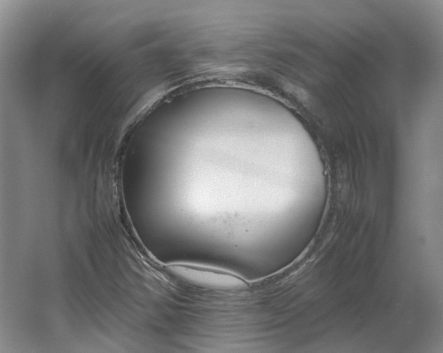 X0000064731354200602241702