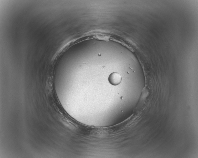 X0000064731355200602241702