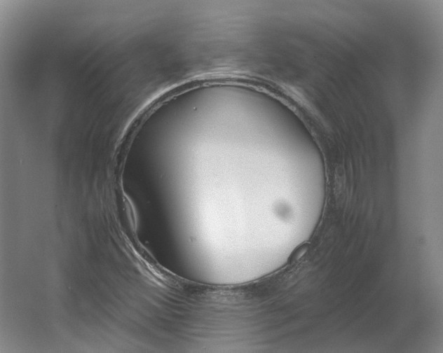 X0000064731356200602241702