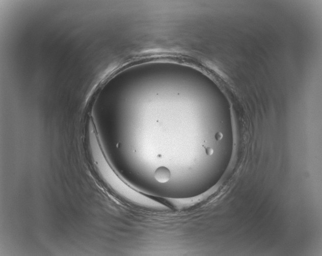 X0000064731357200602241702