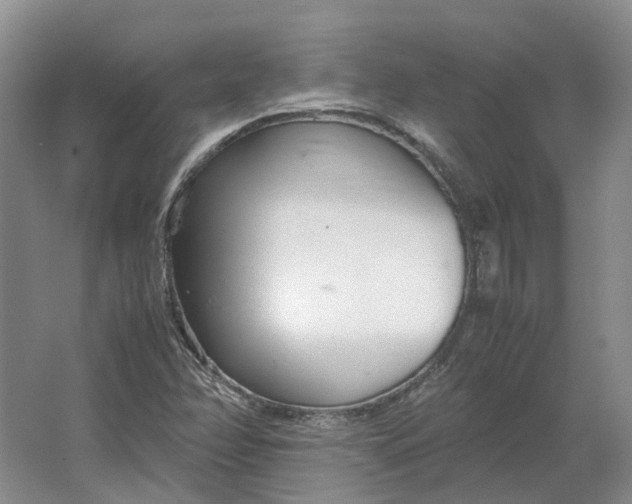 X0000064731358200602241702