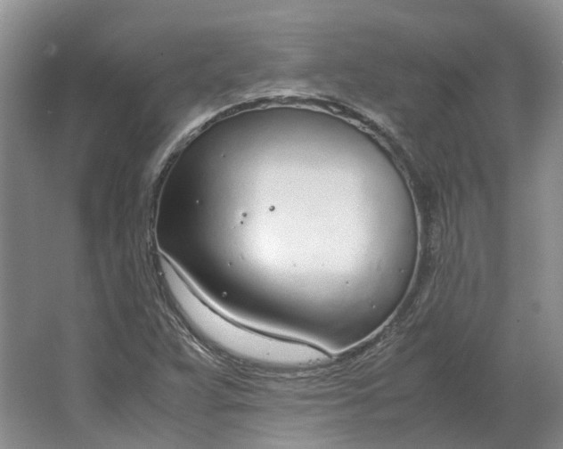 X0000064731359200602241702