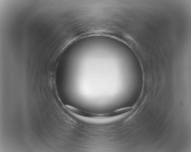 X0000064731361200602241702