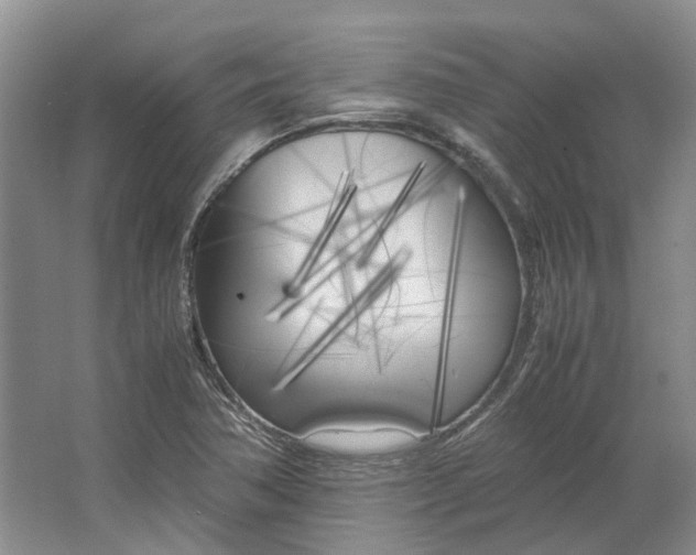 X0000064731362200602241702