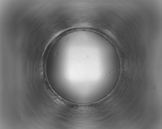 X0000064731364200602241702