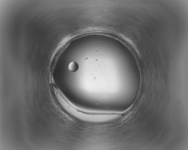 X0000064731365200602241702