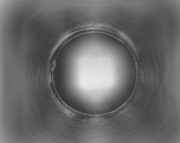 X0000064731368200602241702