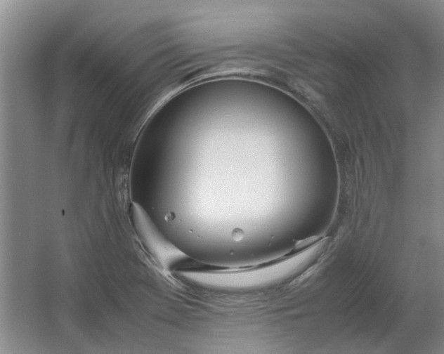 X0000064731369200602241702