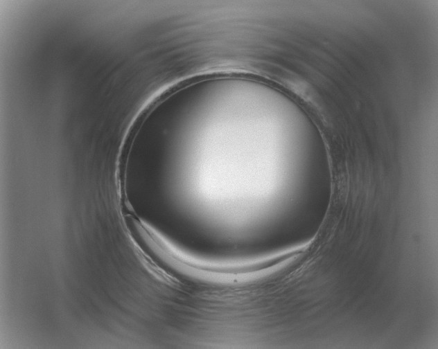 X0000064731372200602241701