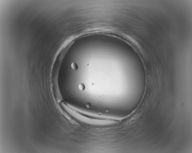 X0000064731373200602241701