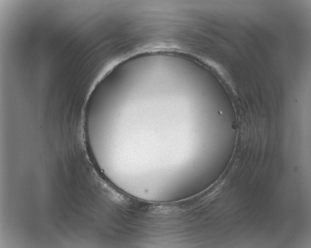 X0000064731374200602241701