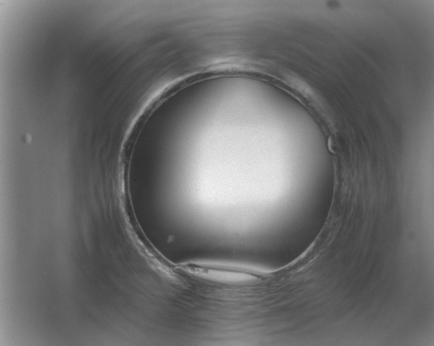 X0000064731376200602241701