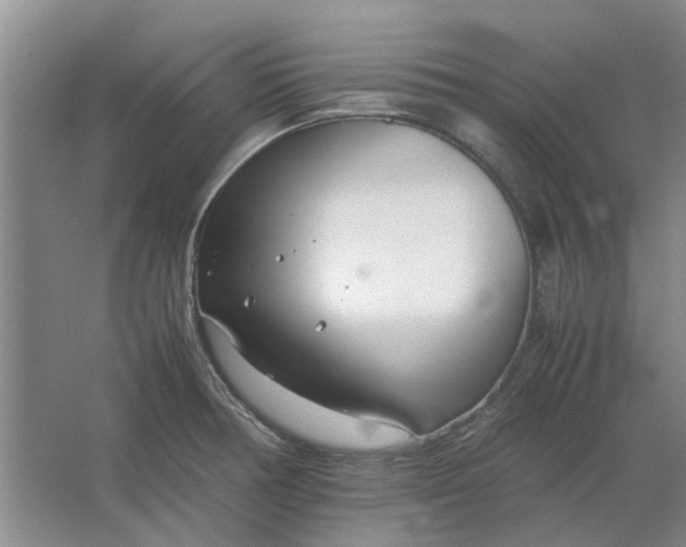 X0000064731378200602241701