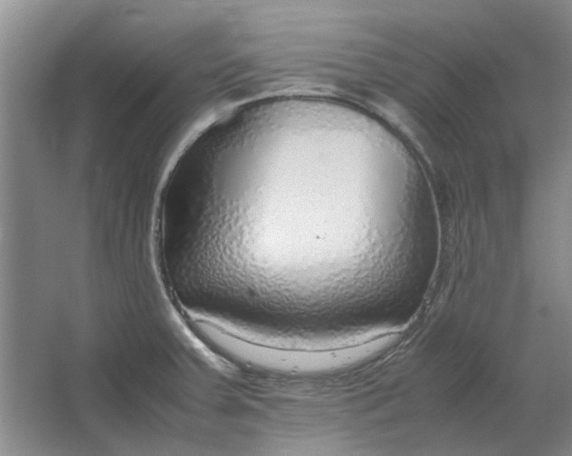 X0000064731379200602241701