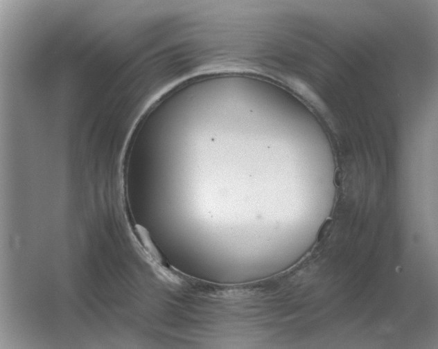 X0000064731380200602241701